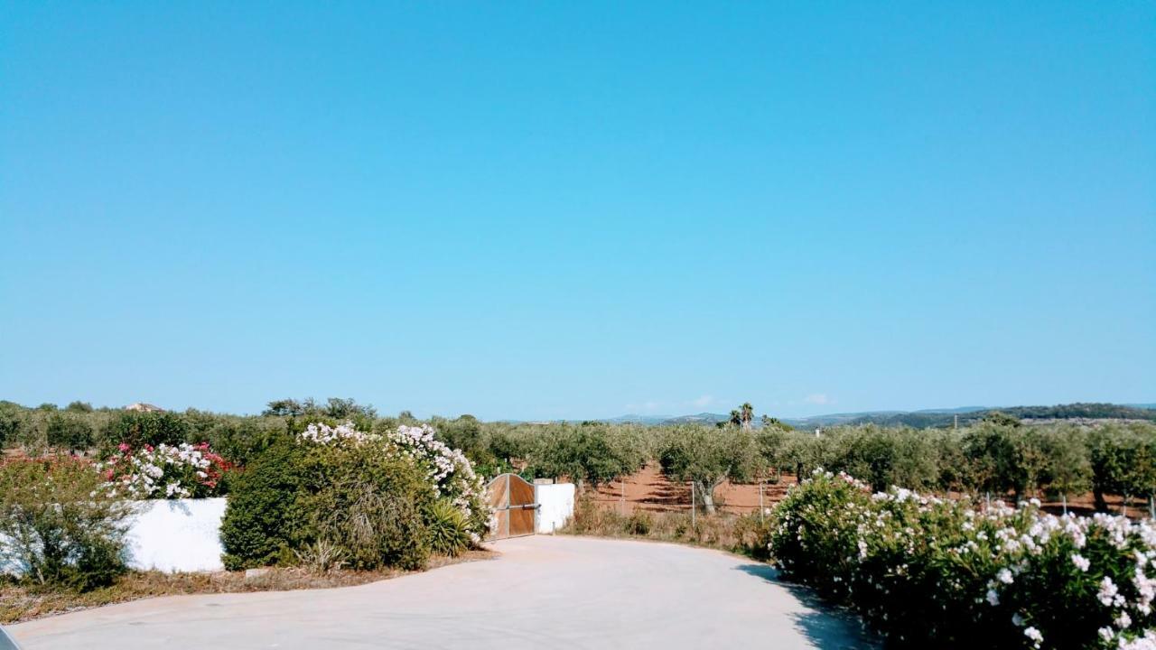 Villa Rafael Con Piscina, Iun P4098 Alghero Exterior photo